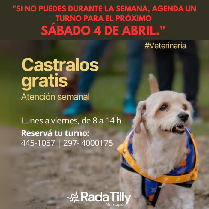**CRONOGRAMA SÁBADOS DE ABRIL**: una jornada de castración especial para perros y gatos. Ideal para aquellos que no pueden asistir de lunes a viernes.